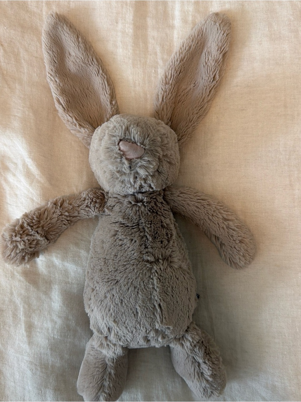 Jelly cat bashful bunny Plush Bunny Soft Toy in Taupe